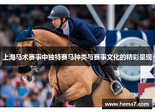 上海马术赛事中独特赛马种类与赛事文化的精彩呈现