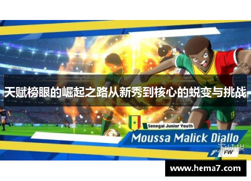 天赋榜眼的崛起之路从新秀到核心的蜕变与挑战