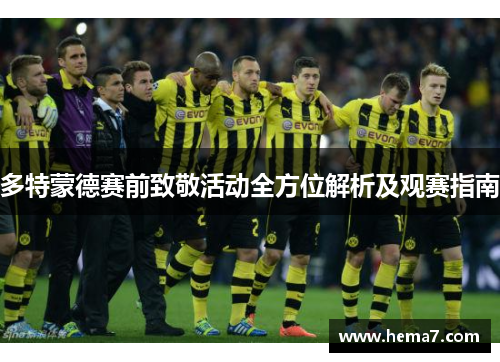多特蒙德赛前致敬活动全方位解析及观赛指南