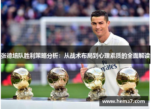张德培队胜利策略分析：从战术布局到心理素质的全面解读